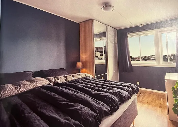 Ons 2026 200m From Ons * Stavanger